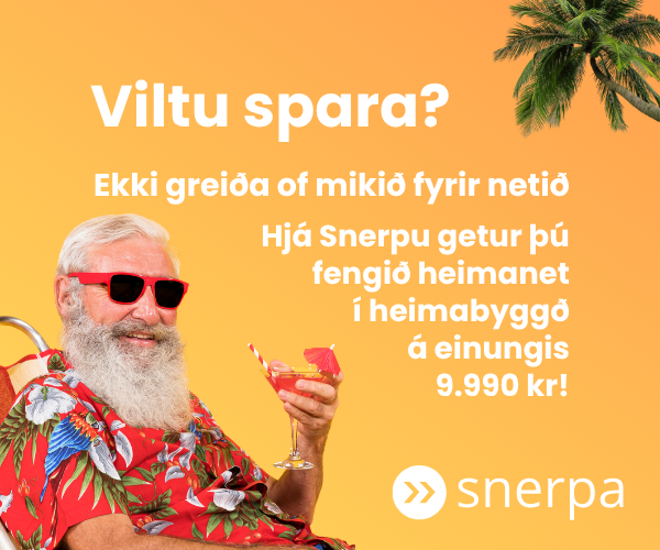 Snerpa ehf.